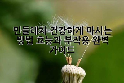 민들레차, 건강하게 마시는 방법! 효능과 부작용 완벽 가이드