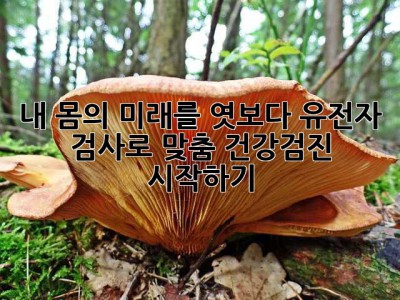 내 몸의 미래를 엿보다: 유전자 검사로 맞춤 건강검진 시작하기