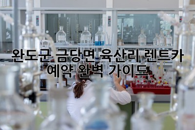 완도군 금당면 육산리 렌트카 예약 완벽 가이드
