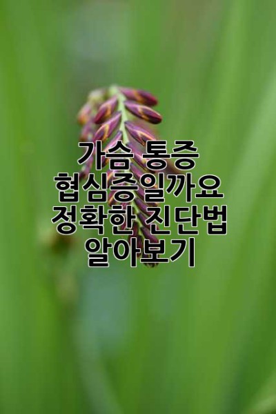 가슴 통증, 협심증일까요? 정확한 진단법 알아보기