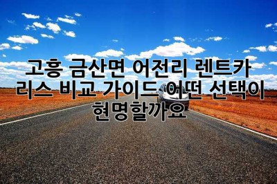 고흥 금산면 어전리 렌트카, 리스 비교 가이드: 어떤 선택이 현명할까요?