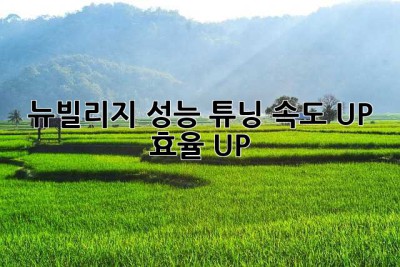 뉴빌리지 성능 튜닝: 속도 UP! 효율 UP!