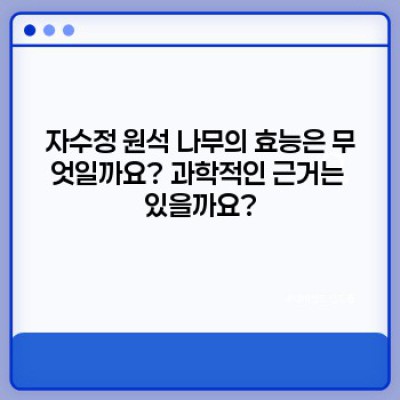 자수정 원석 나무는 무엇일까요? 종류, 효능, 관리법 총정리
