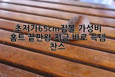 🧘‍♀️초저가65cm짐볼🧘‍♂️ 가성비 홈트 끝판왕! 지금 바로 득템 찬스!