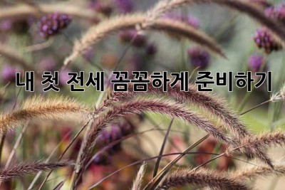 내 첫 전세, 꼼꼼하게 준비하기!  🤔🏠