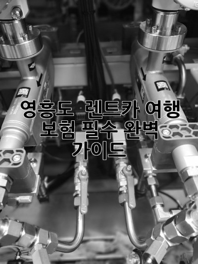 영흥도 🏝️ 렌트카 여행? 보험 필수! 완벽 가이드 🚗