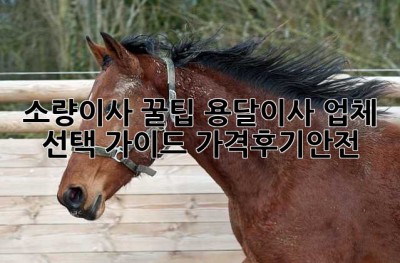 소량이사 꿀팁🍯 용달이사 업체 선택 가이드 (가격/후기/안전)