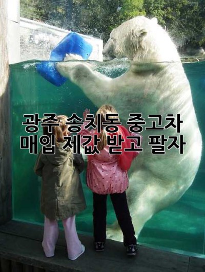 광주 송치동 중고차 매입, 제값 받고 팔자!