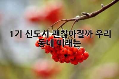 1기 신도시, 괜찮아질까? 우리 동네 미래는? 🤔