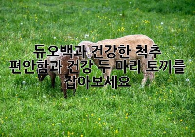 듀오백과 건강한 척추: 편안함과 건강, 두 마리 토끼를 잡아보세요!