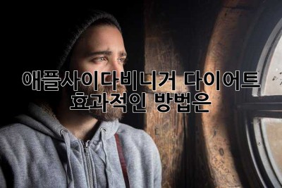 애플사이다비니거 다이어트, 효과적인 방법은?