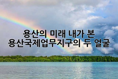 용산의 미래, 내가 본 용산국제업무지구의 두 얼굴