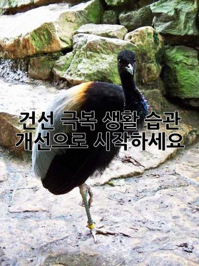 건선 극복, 생활 습관 개선으로 시작하세요!