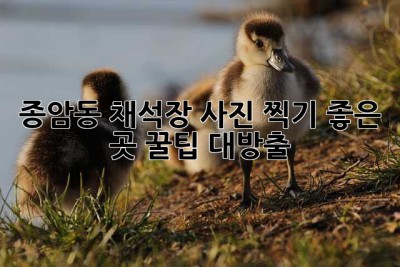 종암동 채석장 사진 찍기 좋은 곳, 꿀팁 대방출! ✨